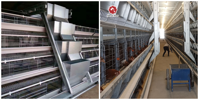 0.75kW H-Type 4-Tier hot-dip galvanized automated poultry feeding system for commercial layer chicken cages — front view showing feed hoppers and spiral auger delivery pipes
