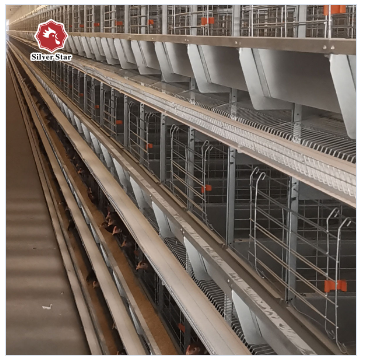 Poultry Agricultural Products Chicken Layer Cage For Broilers And Chicks