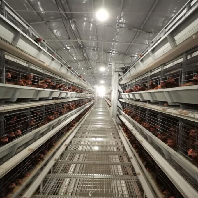 H Type Egg Layer Chicken Battery Cages Laying Hens Poultry Breeding ...