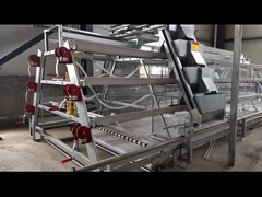 A type 4 tiers Poultry Farm Egg Layer Cage