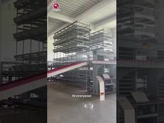 H Type Layer Chicken Cage Automated Poultry System