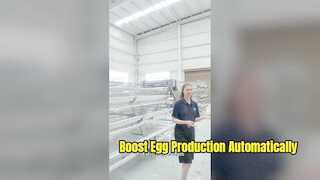 High Capacity Poultry Layer Cage System for Modern Farming