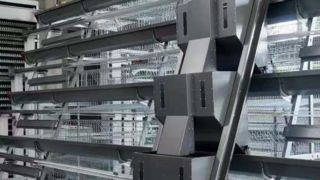 Modern A Type Layer Chicken Cages for Efficient Poultry Farming