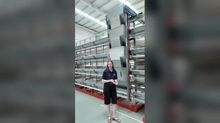 Automatic Broiler/Layers Cage System Maximize Poultry Farm Profits