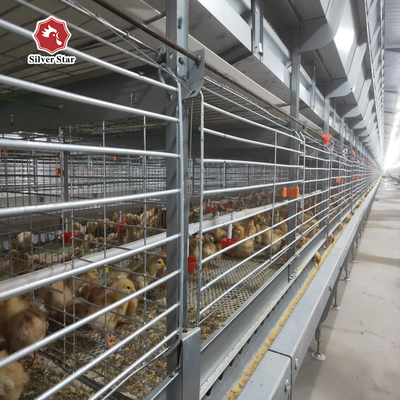 One Day Old Meat Poultry Broiler Cage For Chicken Farm