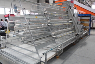 Eggs Layer Chicken Cage Cold And Hot Galvanized Feeding System