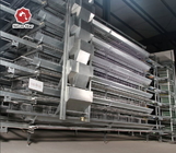 Full Automatic Hot Galvanized Battery Chicken Cage With Egg Collection System