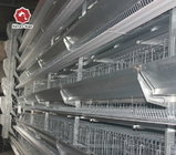 Big Size Newest Design H Type Battery Cages Galvanized Steel Wire Mesh