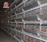 65*62.5 Cm H Type Battery Chicken Cage Big Size