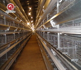 3 Phase Farm Layer Chicken Cage Poultry H Type Layer Cage