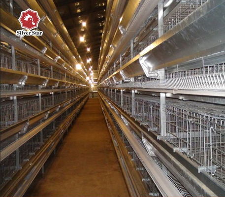 Factory Direct H-Type Broiler Battery Cage System with Hot-Dip Galvanizing, Soft Plastic Mats & Automated Manure Cleaning for Commercial Meat Chicken Farms