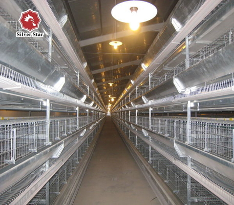 50000 Layers Farm Poultry Chicken Cage Equipment