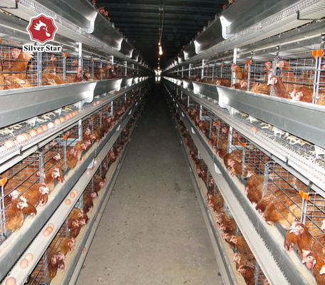 160 Birds A Type Poultry Cage Hens Poultry Egg Farming Equipment