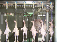 Halal Chicken Abattoir Slaughter Line Machine Equipment 500BPH - 10000BPH