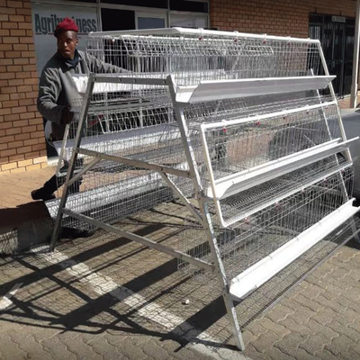 Hot Galvanized A Type Poultry Cage New Design Big Size