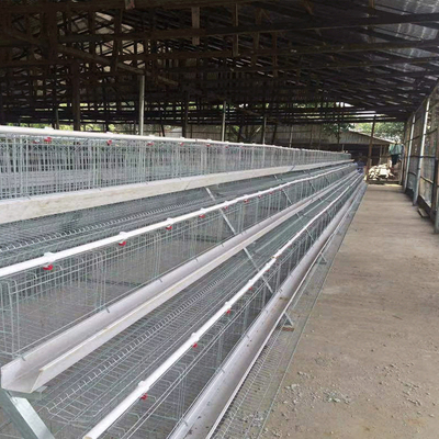 A Type Bigger Size Chicken Egg Layer Cages New Design