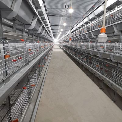5-Tier Hot-Dip Galvanized H-Type Broiler Chicken Cage with 170 Birds Capacity