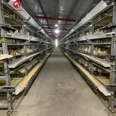 Automatic H-Type Broiler Battery Cage System for Commercial Meat Chicken Farms with Hot-Dip Galvanized Frame and 3-4 Tiers Configuration