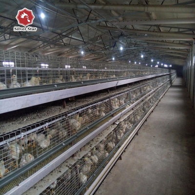 A Type Hot Galvanized Baby Chick Cage 4 Tiers 168 Birds