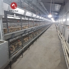 4 Tier Broiler Chicken Battery Cages System Automatic H Type 65 X 60 X 50 Cm