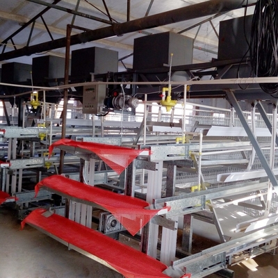 A Type Battery Chicken Layer Cage 3 Tier 120 Capacity For Poultry In Dubai