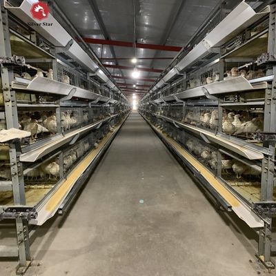 Full Automatic H-Type Meat Broiler Cage System for High-Density Commercial Poultry Farming with Hot-Dip Galvanized Steel