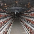 Hot Dip Galvanized Battery Poultry Farm A Frame Manual Layer Chicken Cage
