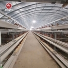10000 Birds Poultry Farm Automatic H Type Battery Chicken Egg Laying Hen Layer Cage