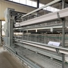 Hot Dip Galvanized Steel Fully Automatic Vertical H Type Multitier Chicken Egg Laying Cage