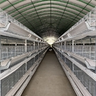 H Type Fully Automatic Battery Chicken Cage System Egg Layer Poultry Farming Equipment