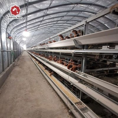 Durable Layer Chicken Cage with 3 or 4 Tiers for Space Utilization and Long Lasting Corrosion Resistance Suitable for Poultry Farms