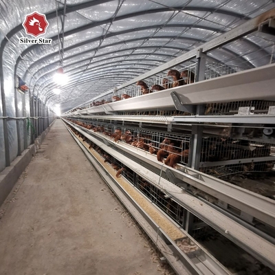 H Type Layer Chicken Cage Hot Dipped Galvanised Chicken Farm