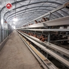 Hot Dip Galvanized H Type Automatic Layer Chicken Cage System