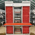 Poultry Farm Layer Hen Chicken Cages Coop Fully Automatic H Type Battery Egg 6Tiers