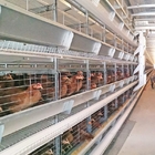 Battery Layer Chicken Cage For Poultry Farm With 96,120,128 Birds Capacity