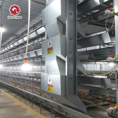 H-type Automatic Cages Intended For Raising Baby Poultry And Broiler Chickens