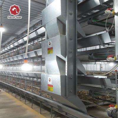 Modern Automated H-Type Broiler Farm Cage System | High-Density Meat Poultry Raising Equipment