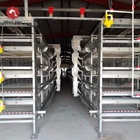 Fully Automatic Broiler Chicken Poultry Cage Farm Equipment H Type Animal