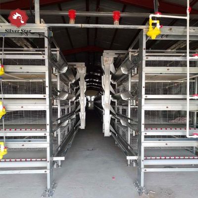 Modern Automated H-Type Broiler Farm Cage System | High-Density Meat Poultry Raising Equipment