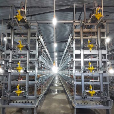 Modern Automated H-Type Broiler Farm Cage System | High-Density Meat Poultry Raising Equipment