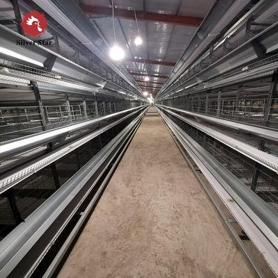 Hot-dip Galvanized Steel H Type Broiler Chicken Cage with Modular Automatic System and Adjustable Breeding Tiers