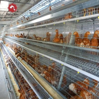 A-Type Stacked Broiler Cage with Hot-dip Galvanized Steel 3-5 Layers Customizable Full Automatic Poultry Equipment