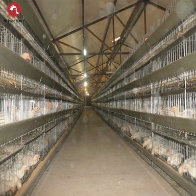 H-Type Automatic Layer Battery Cage System for Commercial Poultry Farms - Hot-Dip Galvanized, Automated Egg Collection, 15-20 Years Service Life