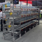 H Type Chicken Battery Breeder Cage Poultry Farming Equipment 4 Tiers