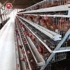 10000 Birds Battery Chickens Farm Layer Cage A Type Poultry Farming