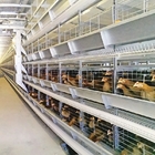 H Type Automatic Battery Layer Chicken Cages 6Tiers Poultry Farm Equipment