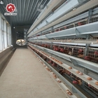 Hot Dip Battery Chicken Cages Coop Galvanized Steel H Type Egg Layer 384 Birds / Set
