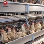 Poultry Farming Battery Chicken Cages System H Type Automatic Laying Hens Egg 8Tiers