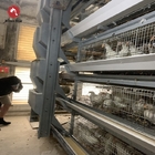 Fully Automatic Egg Layer Chicken Cages H Type 50000 Chickens Poultry Farm 10 Tiers