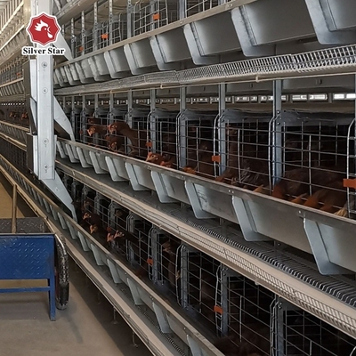 Hen Egg Layer Battery H Type Chicken Cages System Completely Automatic Q235A 8tiers